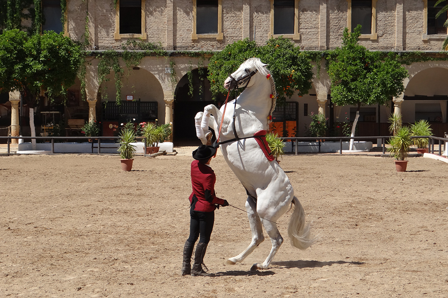 Jerez de la Frontera
