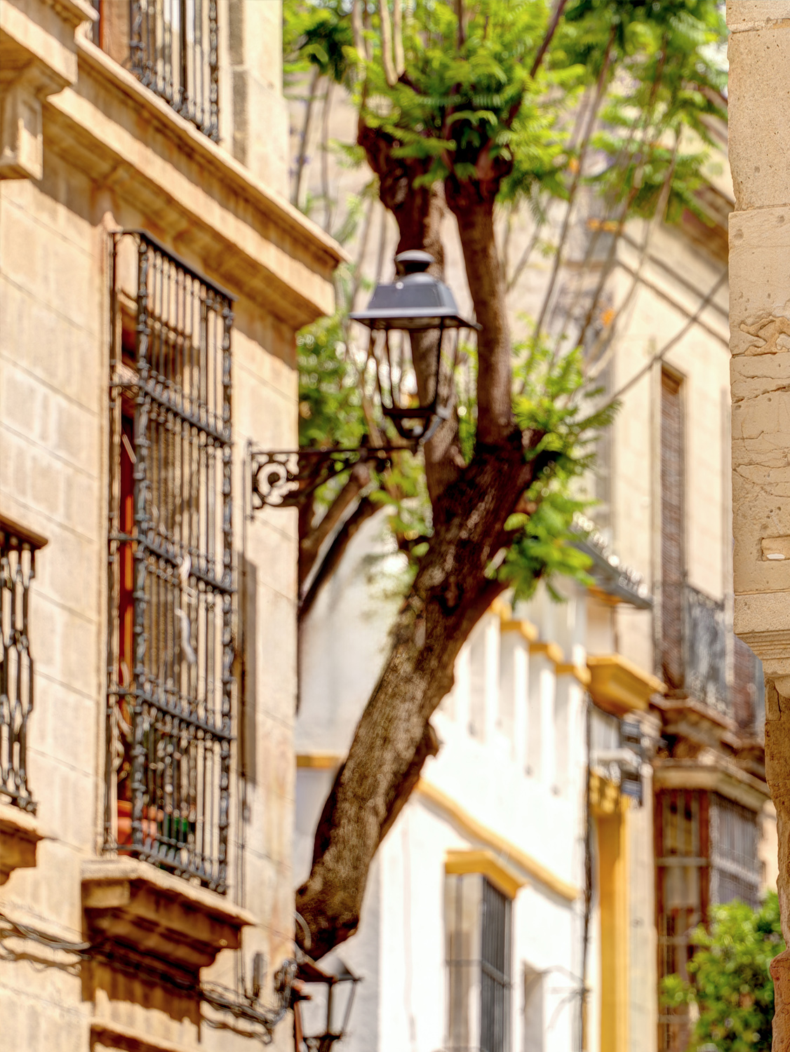 Casera Collections - The Homes