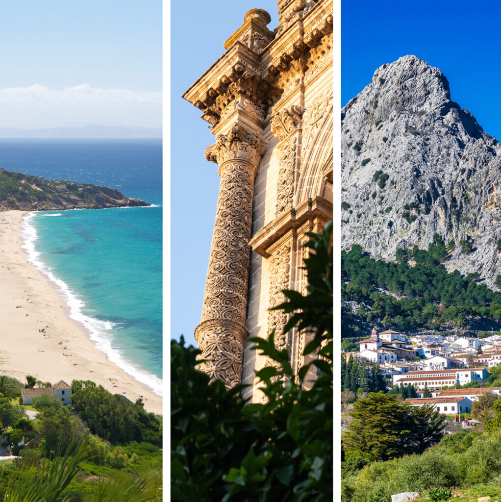 Casera Collections - Our concept