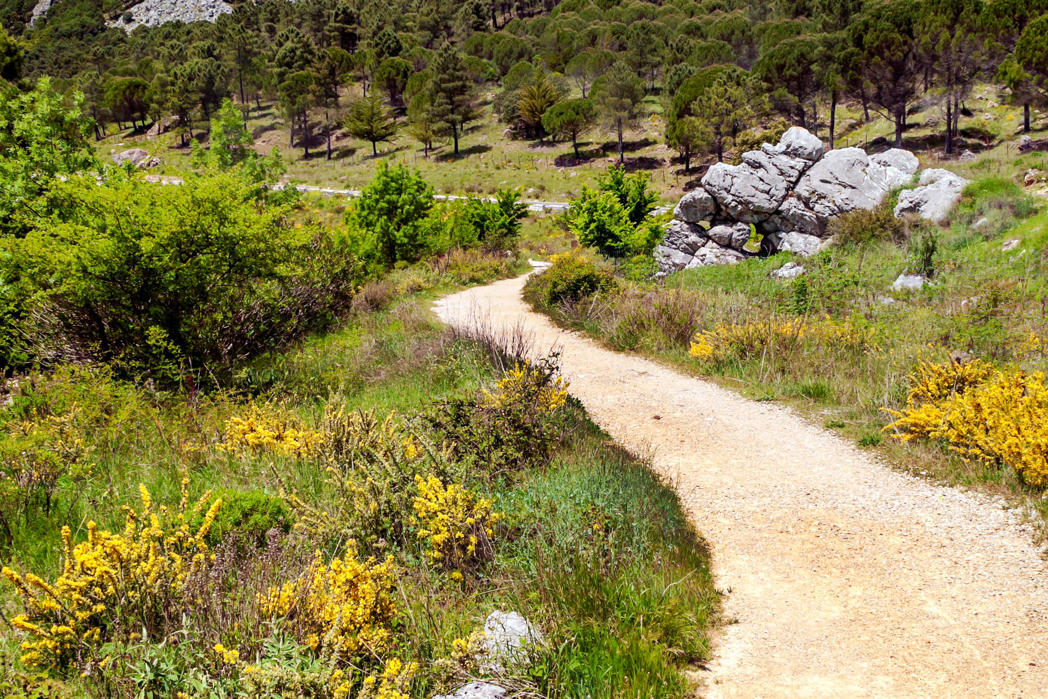 Grazalema: A Place Where Time Slows and Nature Speaks