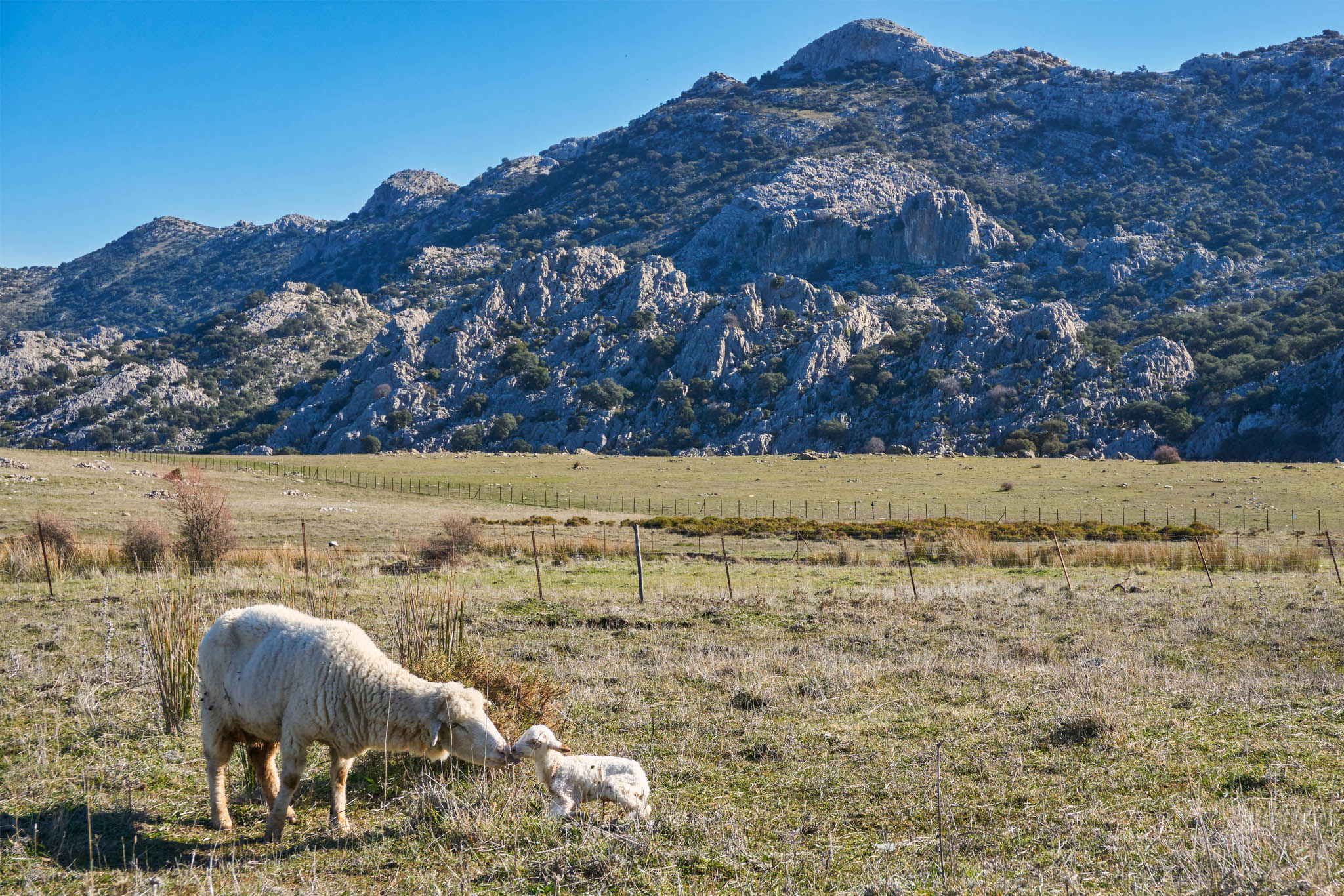 Grazalema: A Place Where Time Slows and Nature Speaks