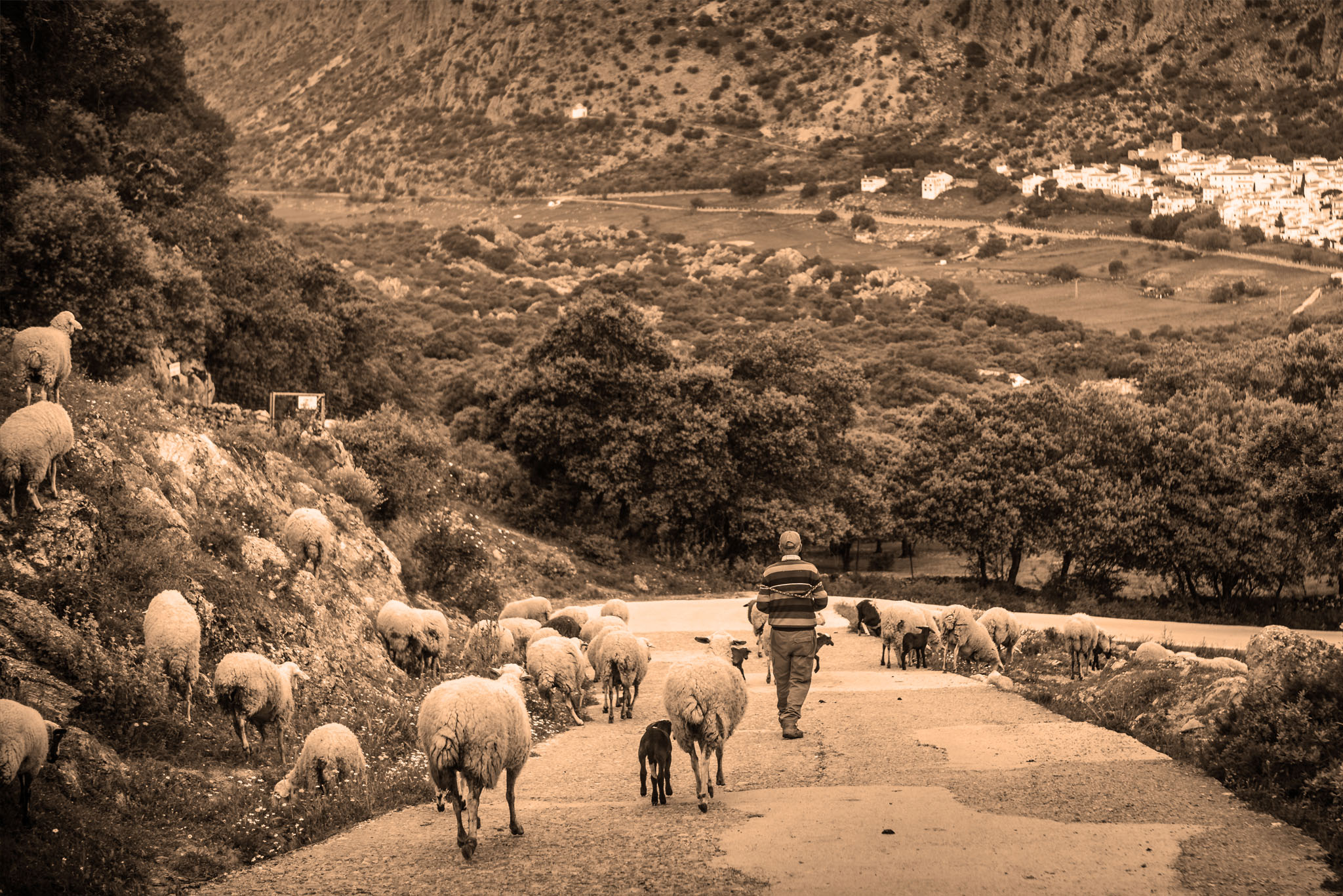 Made by Hand: The Craft Traditions of Cádiz