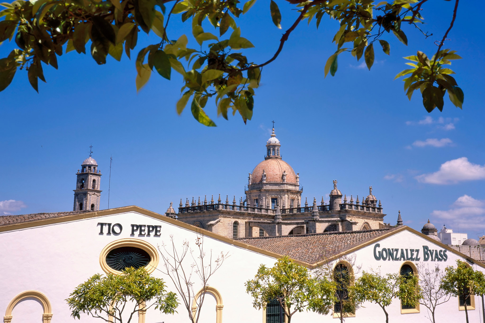 Discovering the World of Sherry Wine. Step Inside the Bodegas