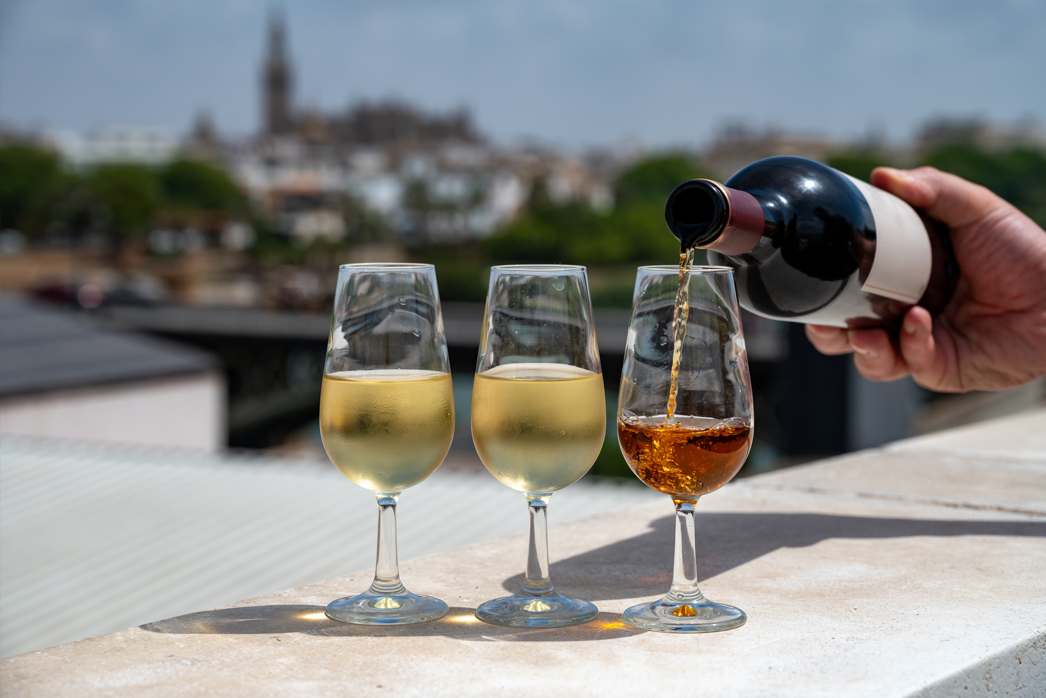 Jerez The Spirit in the Glass