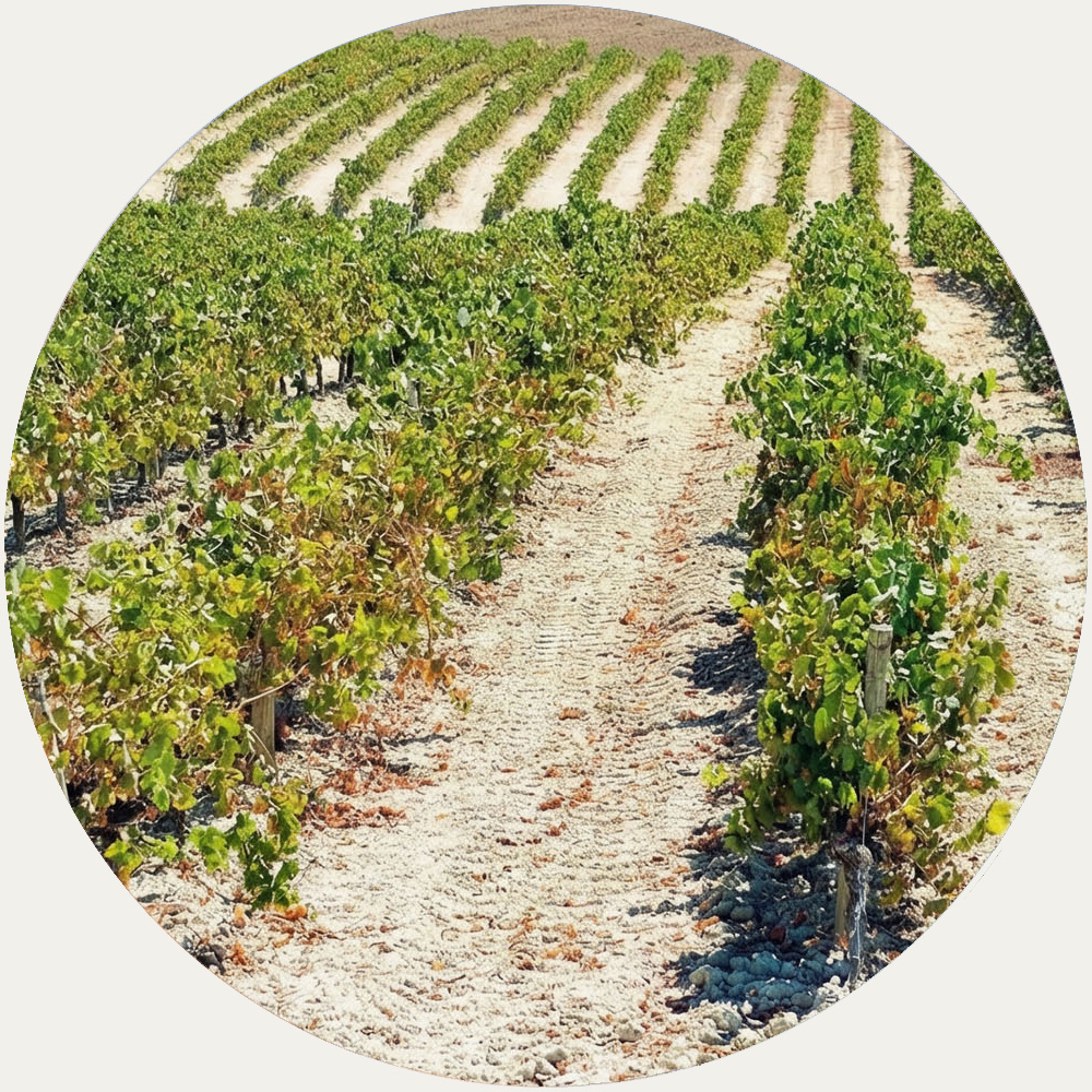 MORE WAYS TO OWN WITH CASERA - FINCA CO-OWNERSHIP