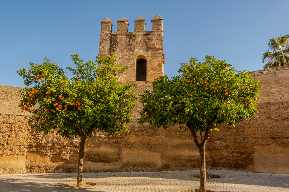 THE REGION - ANDALUSIA
